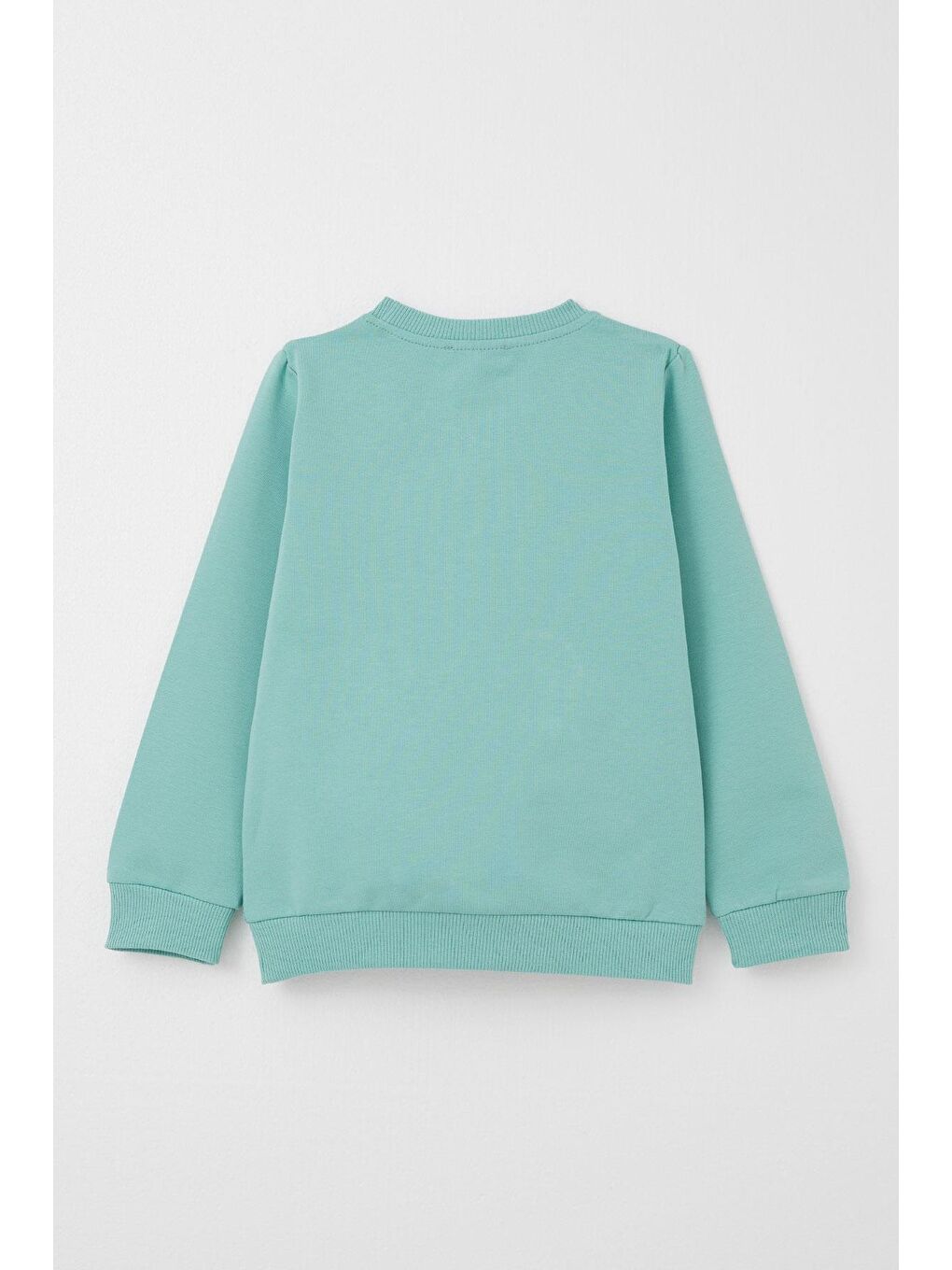 Turkuaz Erkek Bebek Eşofman Takım Sevimli Ayıcık Desenli Kanguru Cepli Su Yeşili (9 Ay-1 Yaş)-3