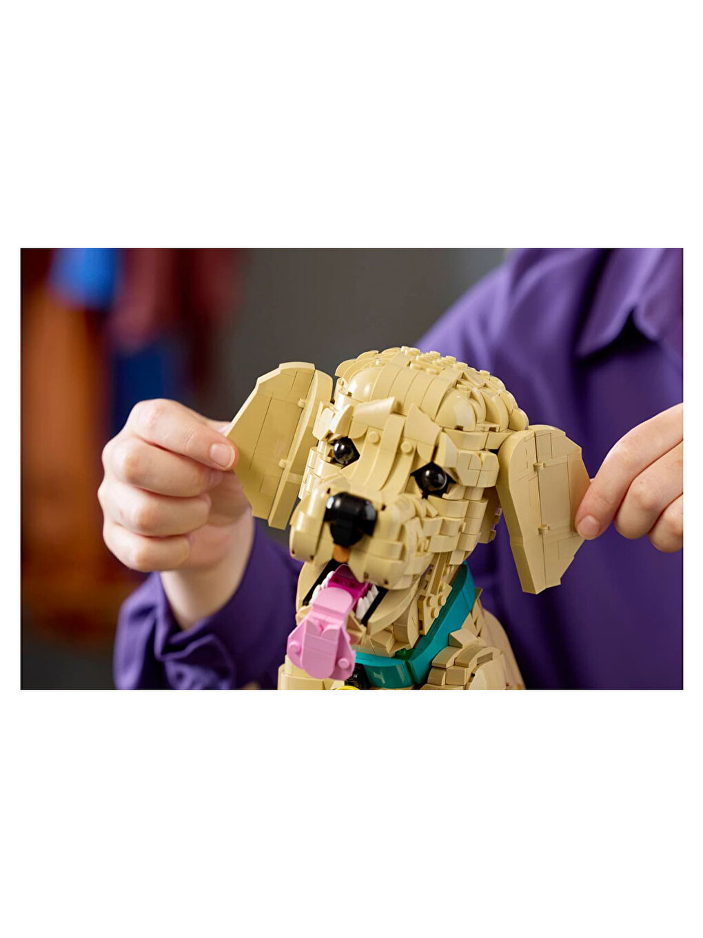 Icons Golden Retriever Puppy 11384-4