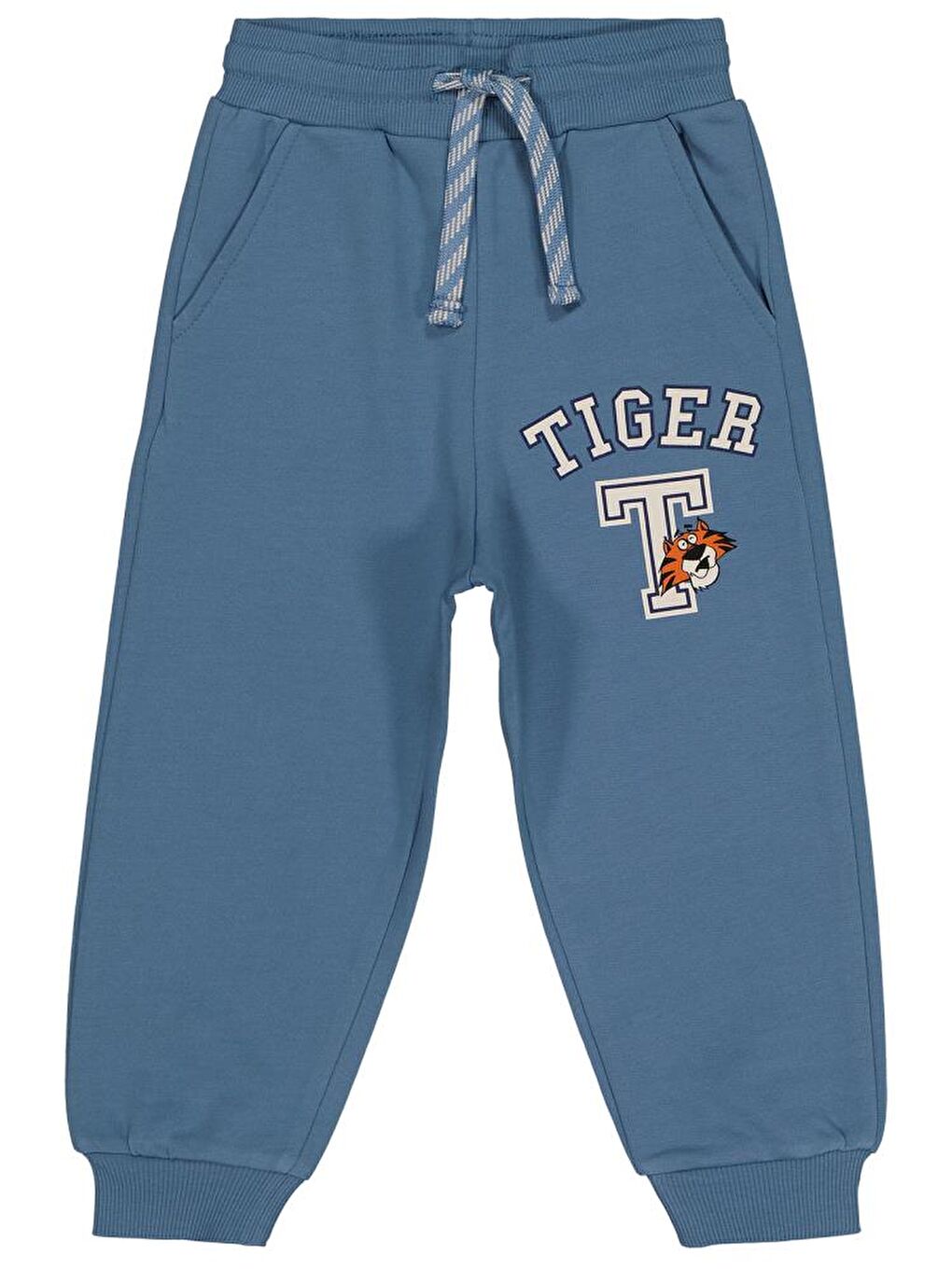 İndigo Boys Tıger Baskılı 2-5 Yaş Eşofman Altı