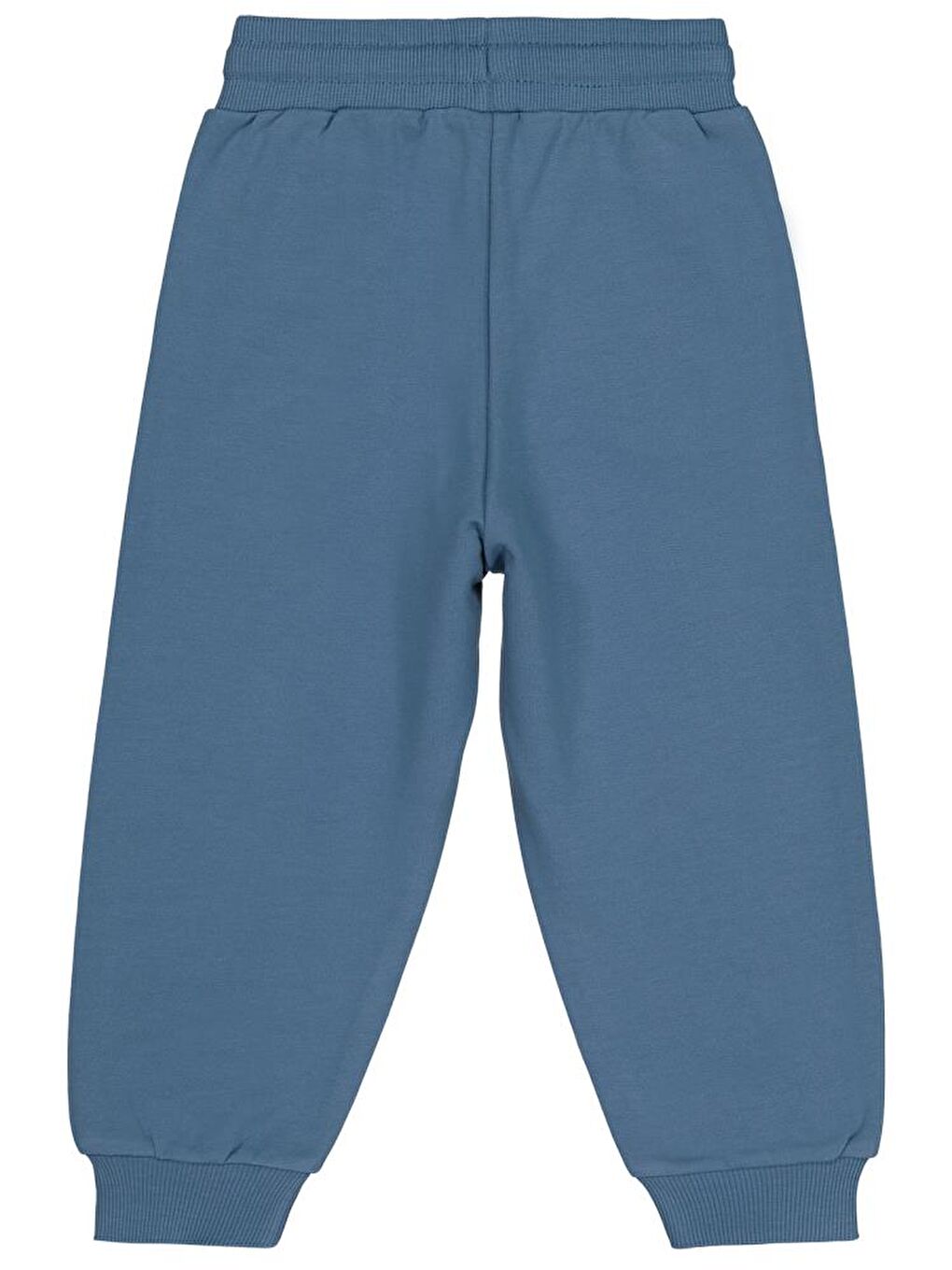 İndigo Boys Tıger Baskılı 2-5 Yaş Eşofman Altı-1