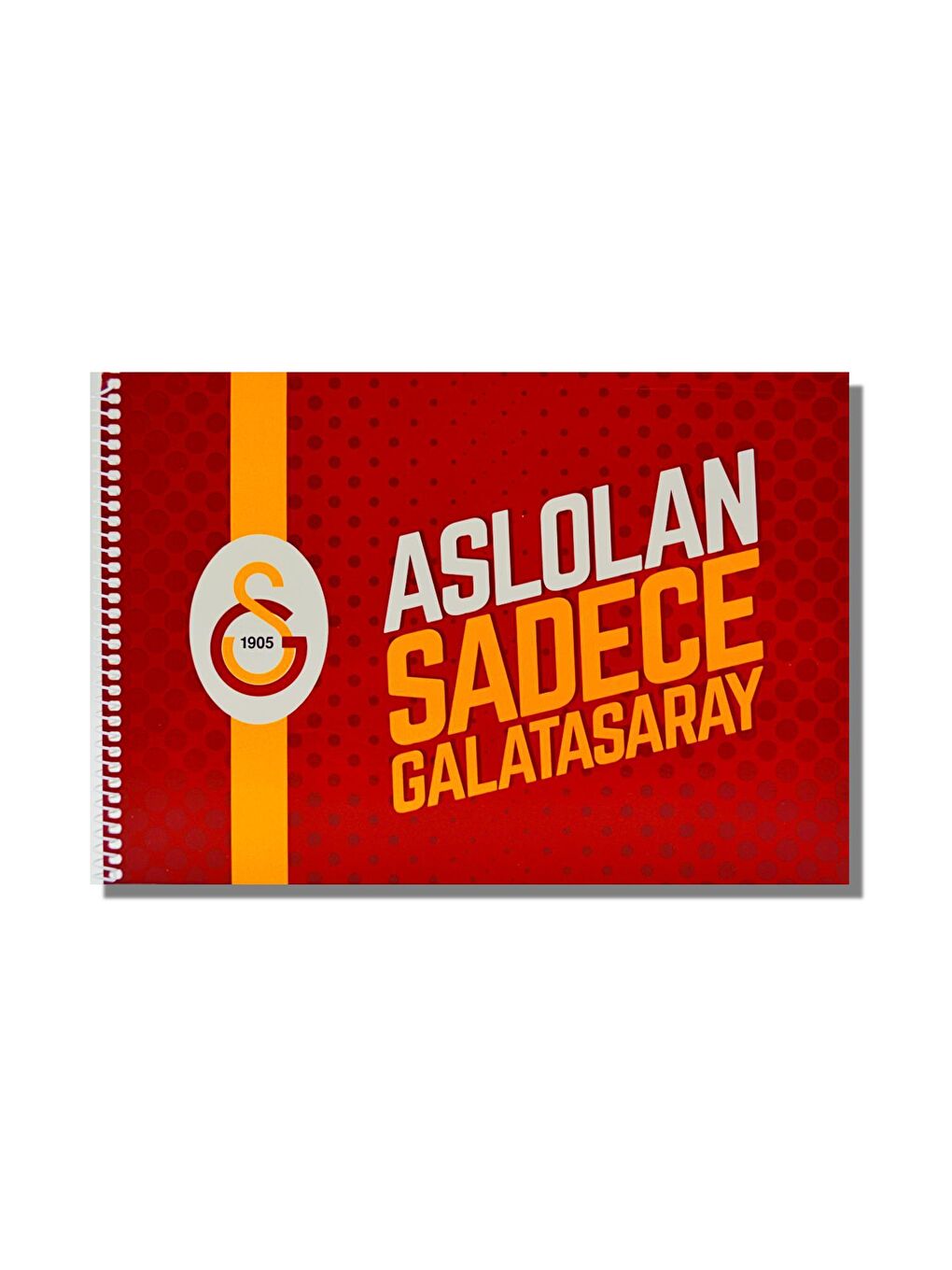 Galatasaray 17x24 15 Yaprak Karton Kapak Spiralli Resim Defteri (463637)-1