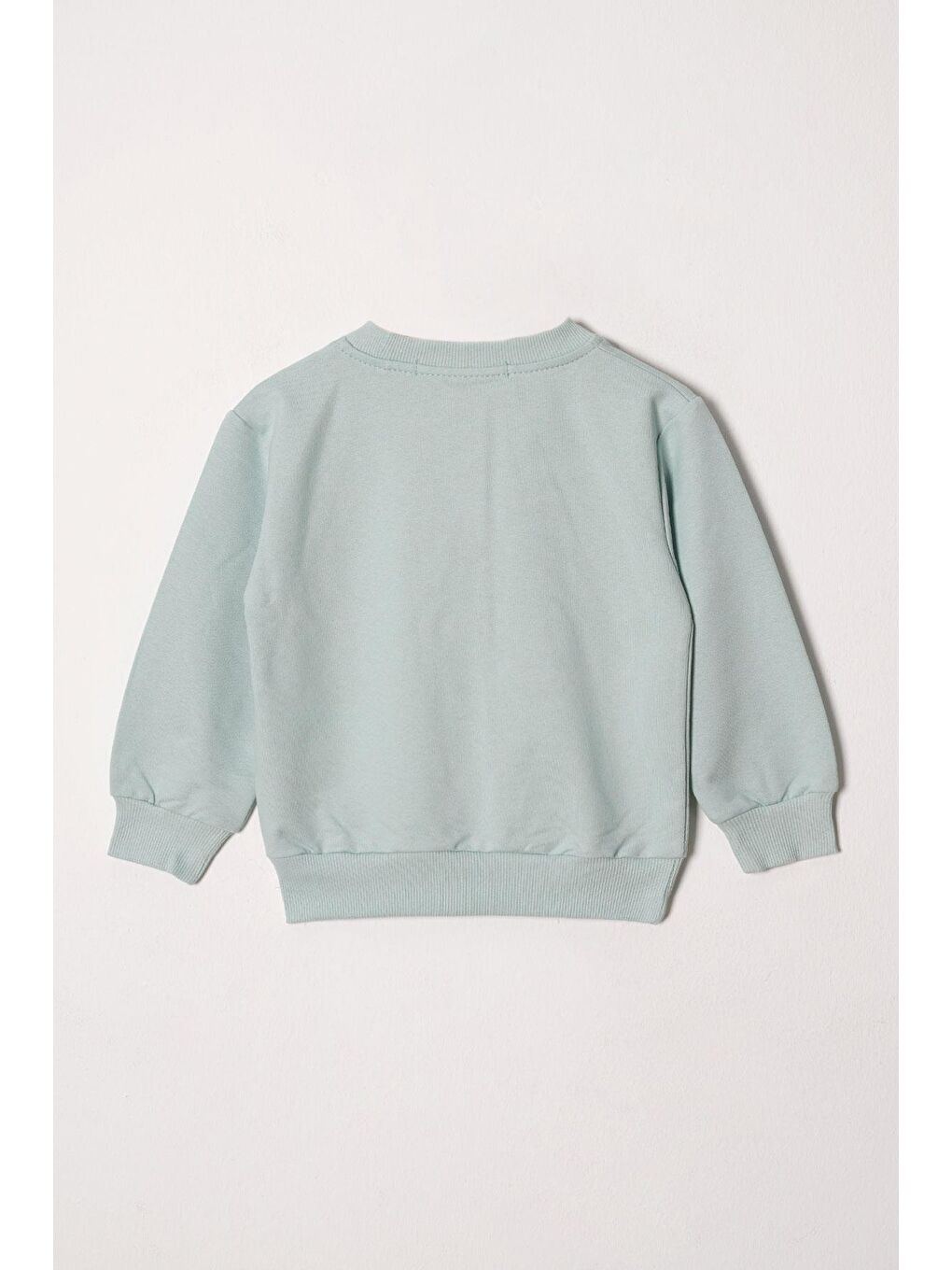 Bisiklet Yaka Uzun Kol Papatya Nakışlı Çağla Yeşili  Renk Kız Çocuk Eşofman Takım-2