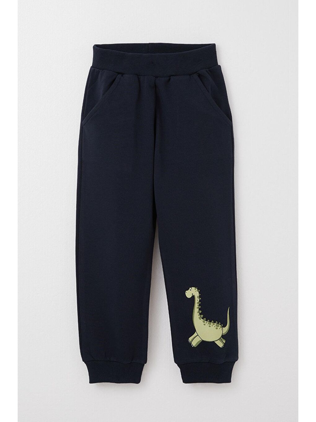 Erkek Çocuk Eşofman Takım Sevimli Dinozor Baskılı Mint Yeşili (1-4 Yaş)-2