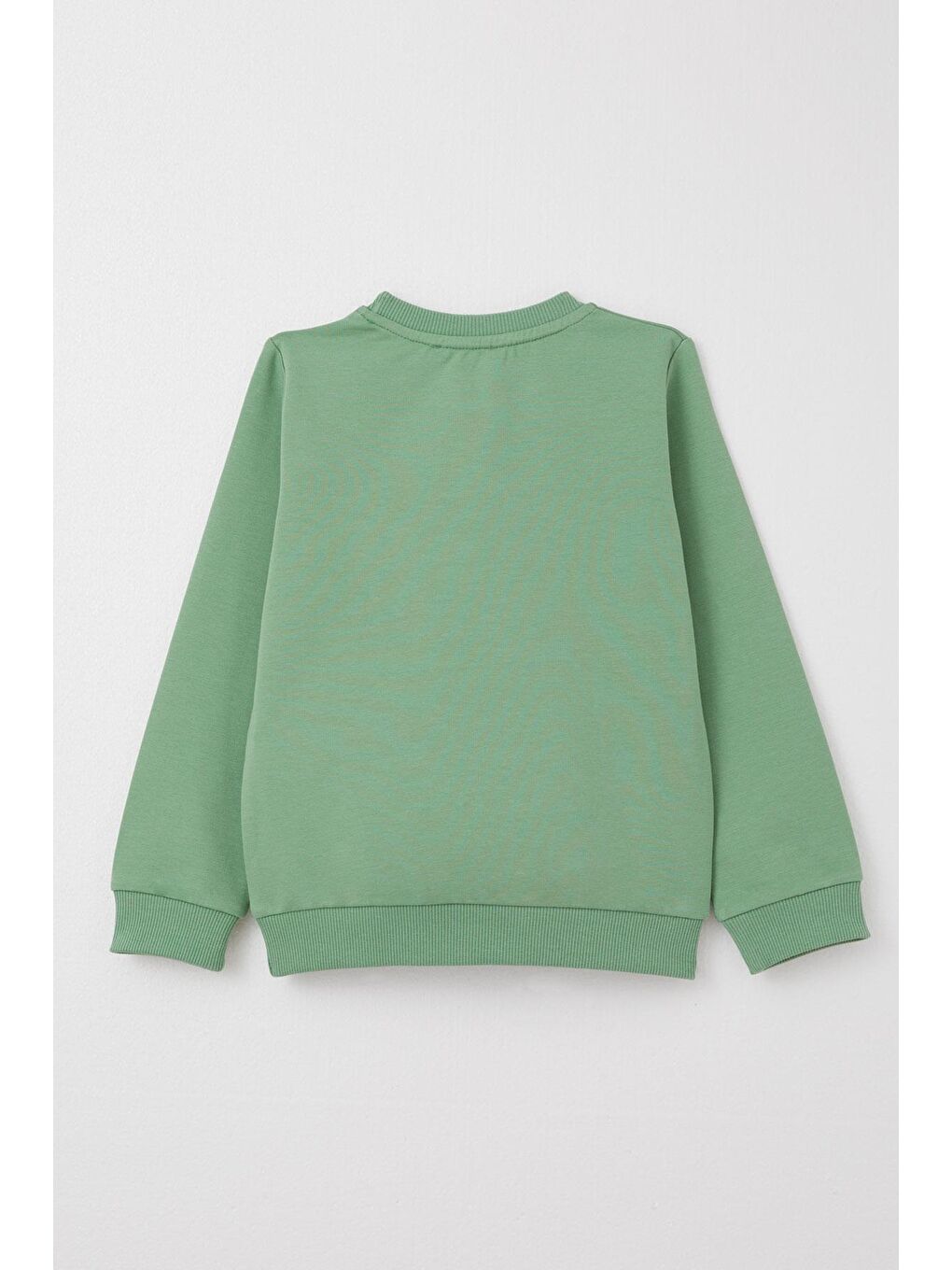 Erkek Çocuk Eşofman Takım Sevimli Dinozor Baskılı Mint Yeşili (1-4 Yaş)-3