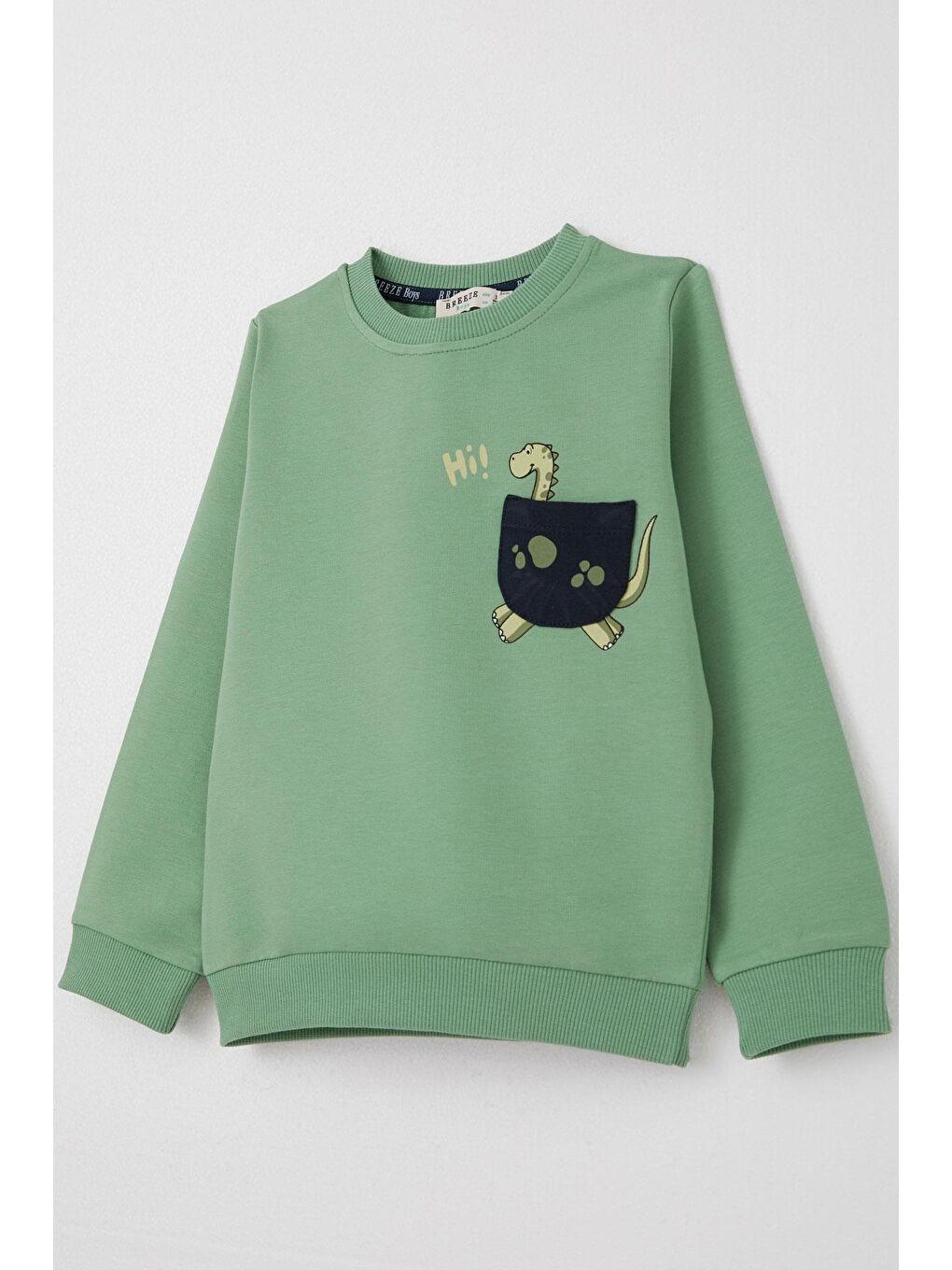 Erkek Çocuk Eşofman Takım Sevimli Dinozor Baskılı Mint Yeşili (1-4 Yaş)-5