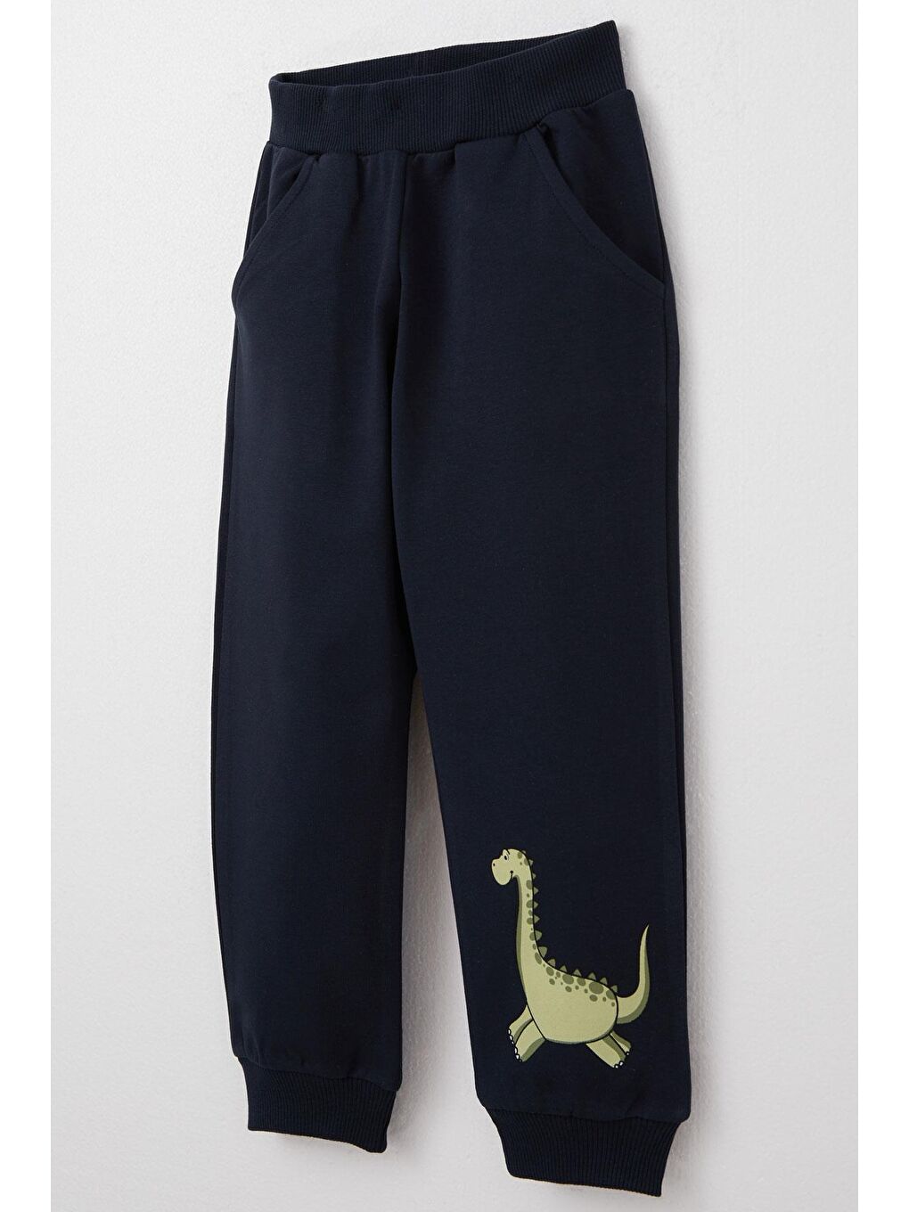 Erkek Çocuk Eşofman Takım Sevimli Dinozor Baskılı Mint Yeşili (1-4 Yaş)-6