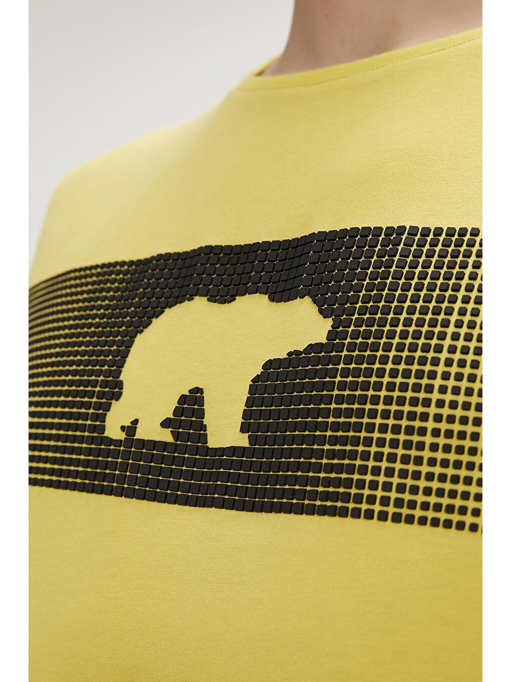 Fancy Sarı Baskılı Erkek Tişört-2