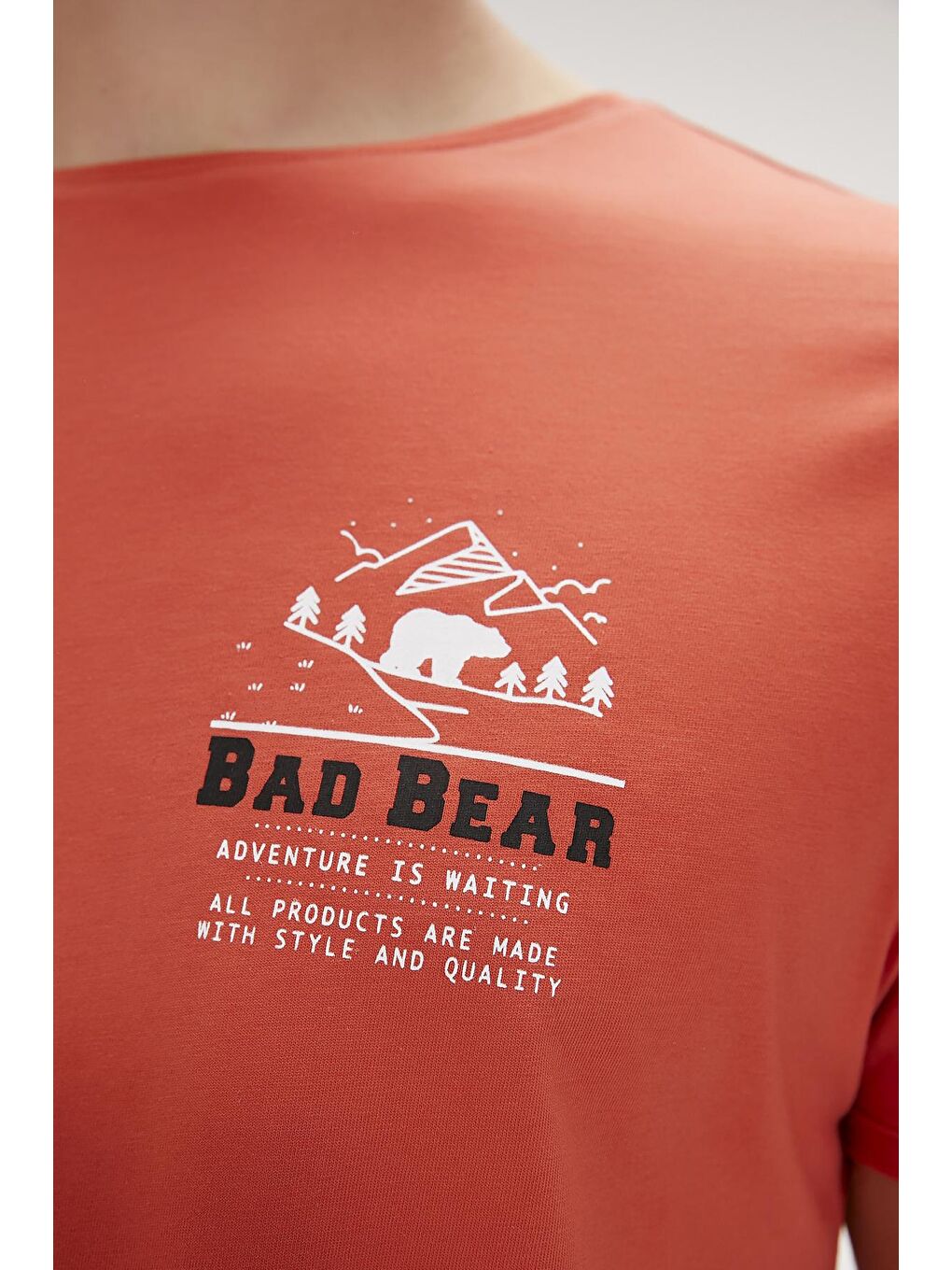 Bad Bear Tarçın Jasper Tarçın Baskılı Erkek Tişört - 2