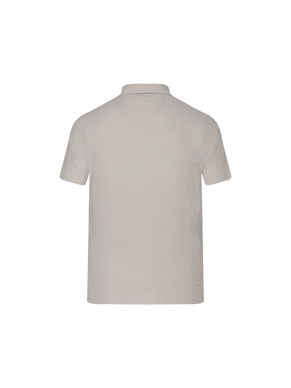 Ekru Regular Fit Apaş Yaka Gömlek-2