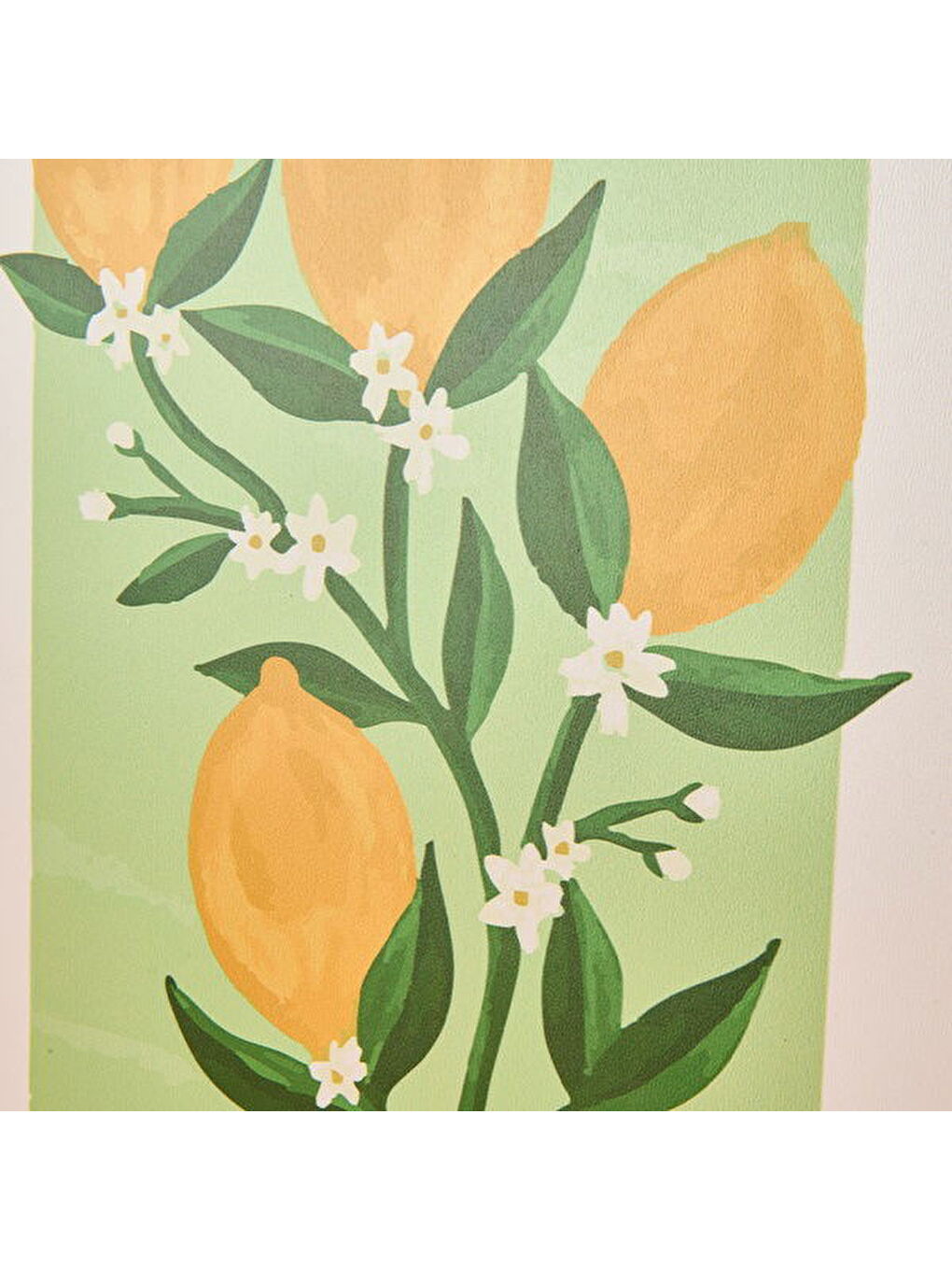 Deco Lime Cello Duvar Panosu - Sarı / Açık Yeşil - 30x40 cm-4