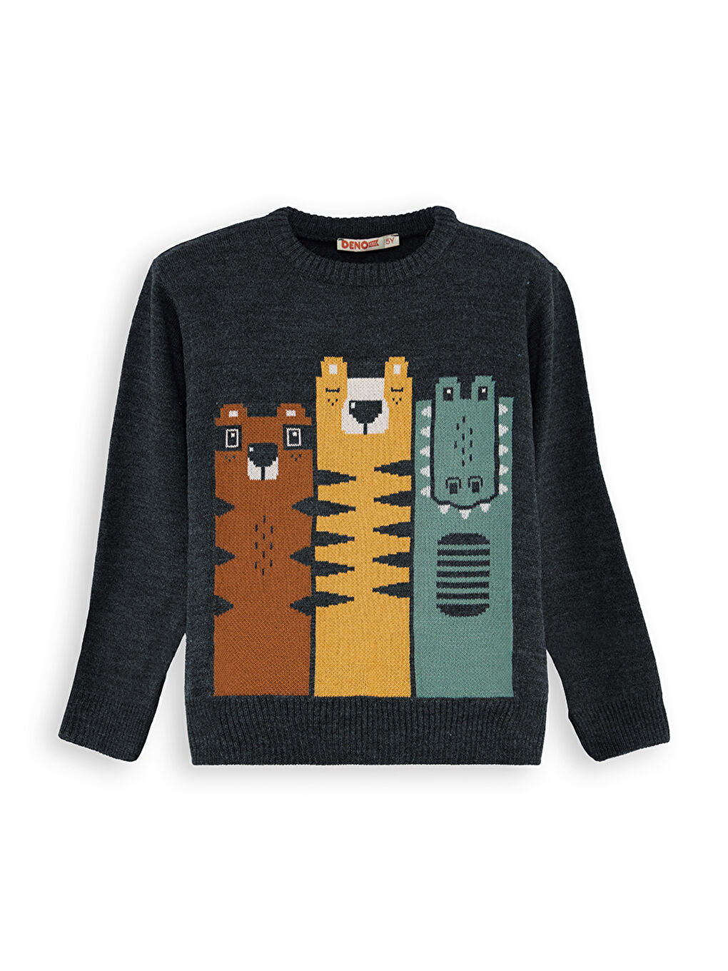 Antrasit Hayvanlar Erkek Çocuk Triko Kazak-2