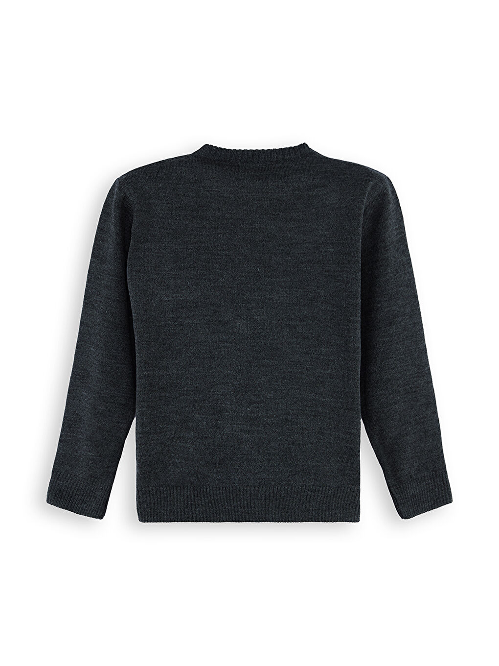 Antrasit Hayvanlar Erkek Çocuk Triko Kazak-3