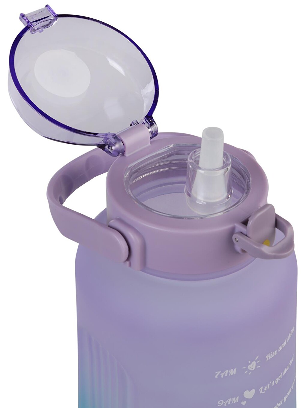 Mor Policarbon Matara 2500 Ml - Lila-3