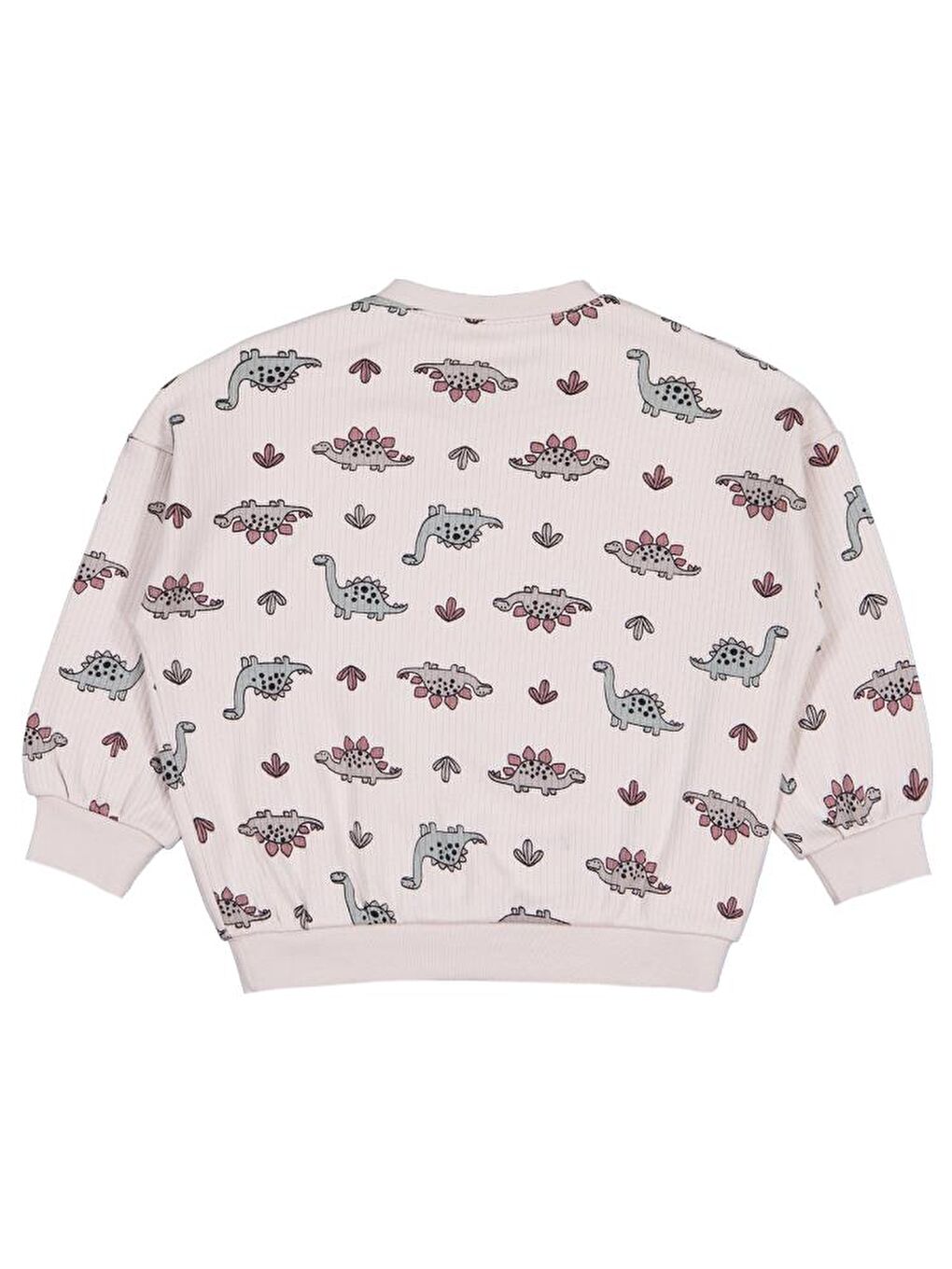 Bej Baby Adventurous Dino Empirme 6-18 Ay Sweatshirt-1