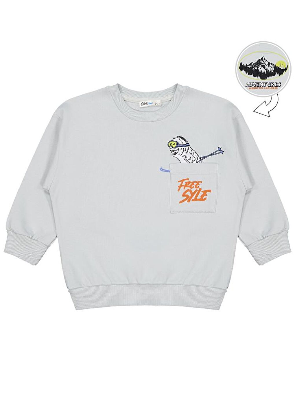 Gri Boys Karyoka Dikişli 2-5 Yaş Sweatshirt-1