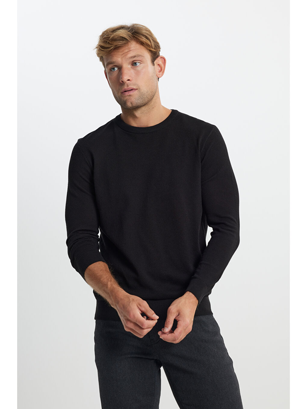 Erkek Siyah Pamuklu Standart Fit Normal Kesim Bisiklet Yaka Jakarlı Triko Kazak-2