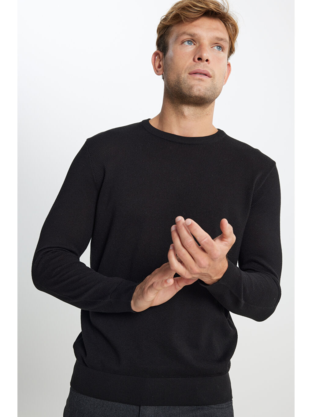 Erkek Siyah Pamuklu Standart Fit Normal Kesim Bisiklet Yaka Jakarlı Triko Kazak-4