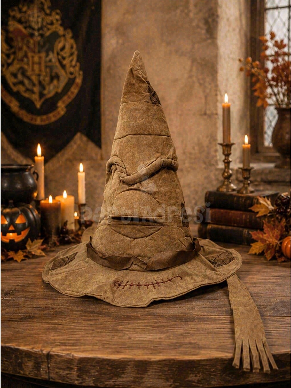 Kahverengi Harry Potter Seçmen Şapka-2
