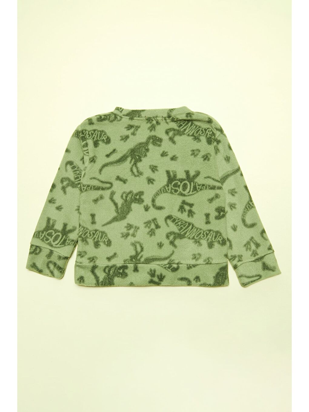 Yeşil Dinozor Desenli Polar Erkek Çocuk Pijama Takımı-2