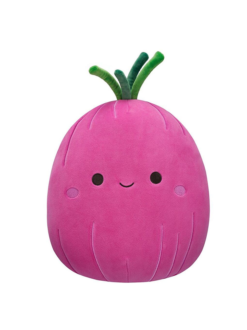 Kırmızı Soğan Azizbek 30cm SQCR06388