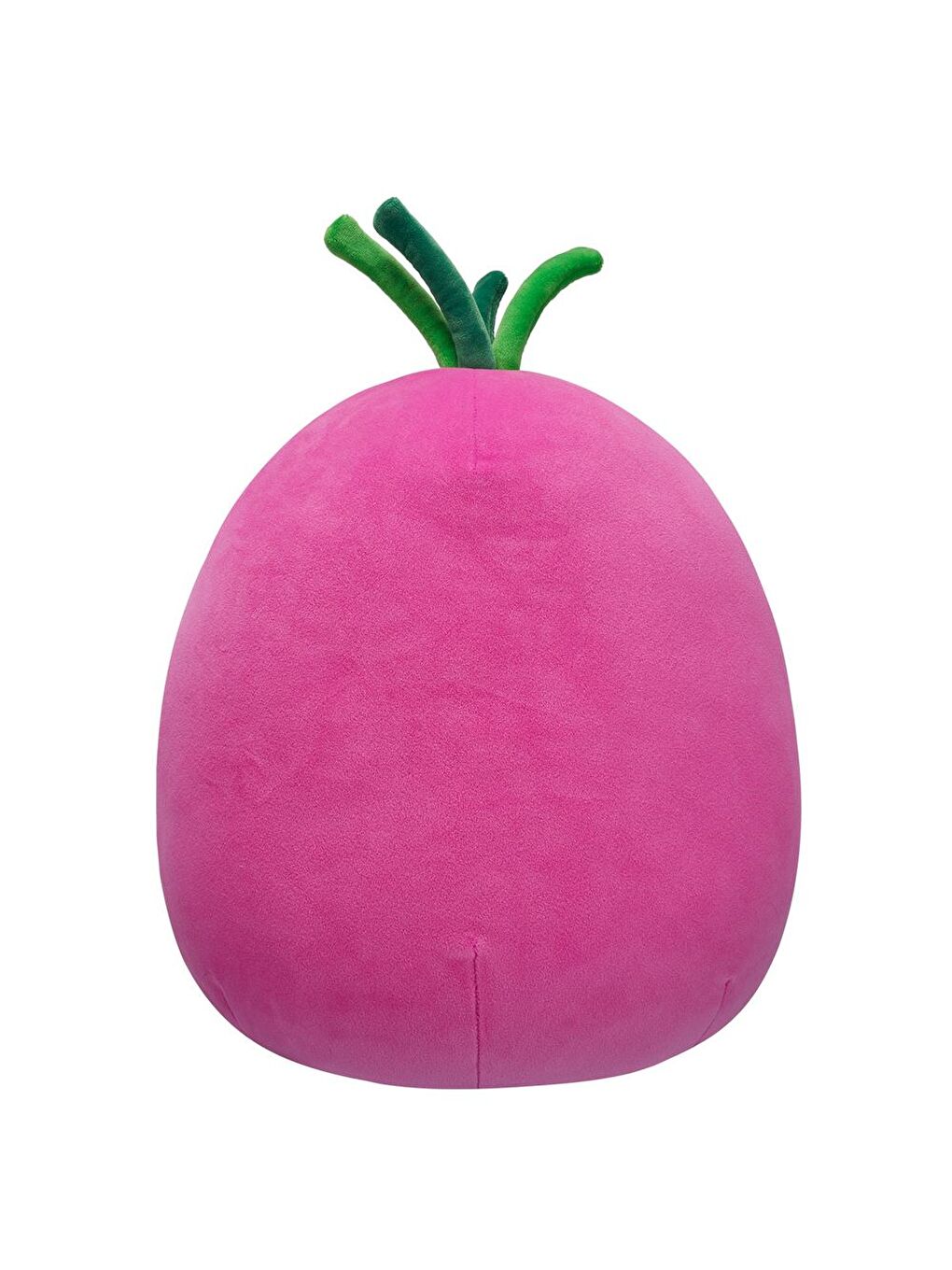 Kırmızı Soğan Azizbek 30cm SQCR06388-2