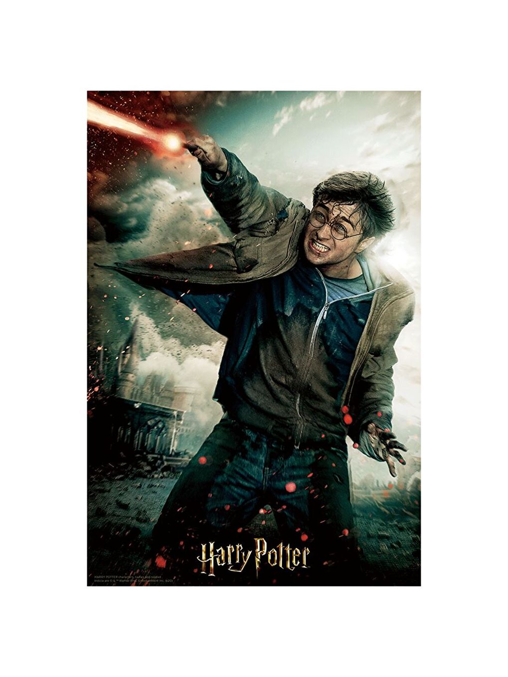 Harry Potter Puzzle 300 Parça 33006-1