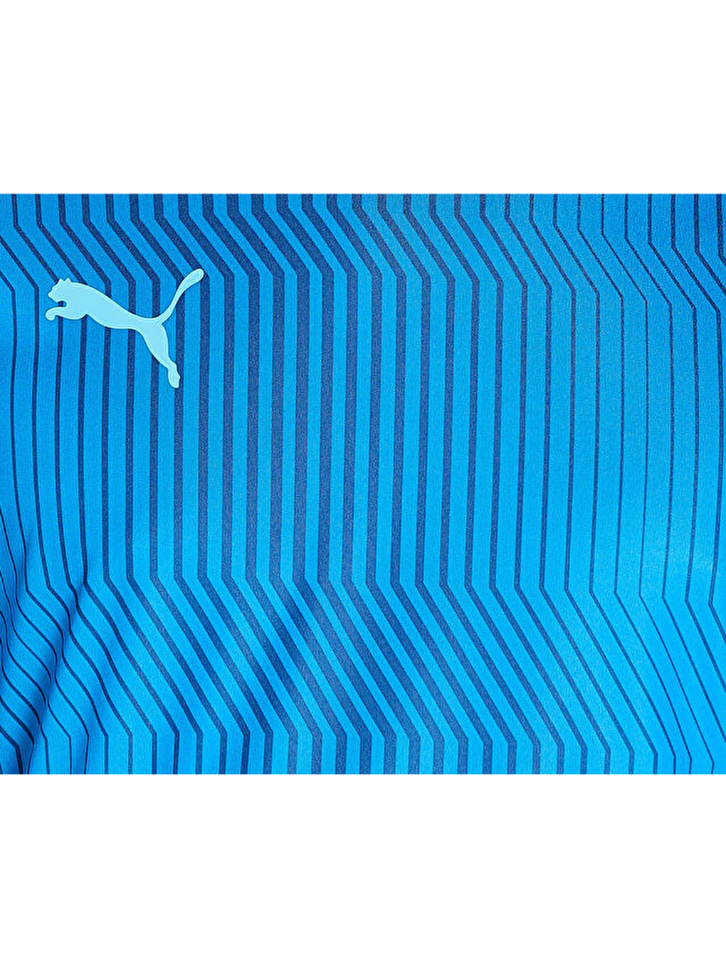 Teamcup Training Jersey Erkek Futbol Forması 65673506 Mavi-3