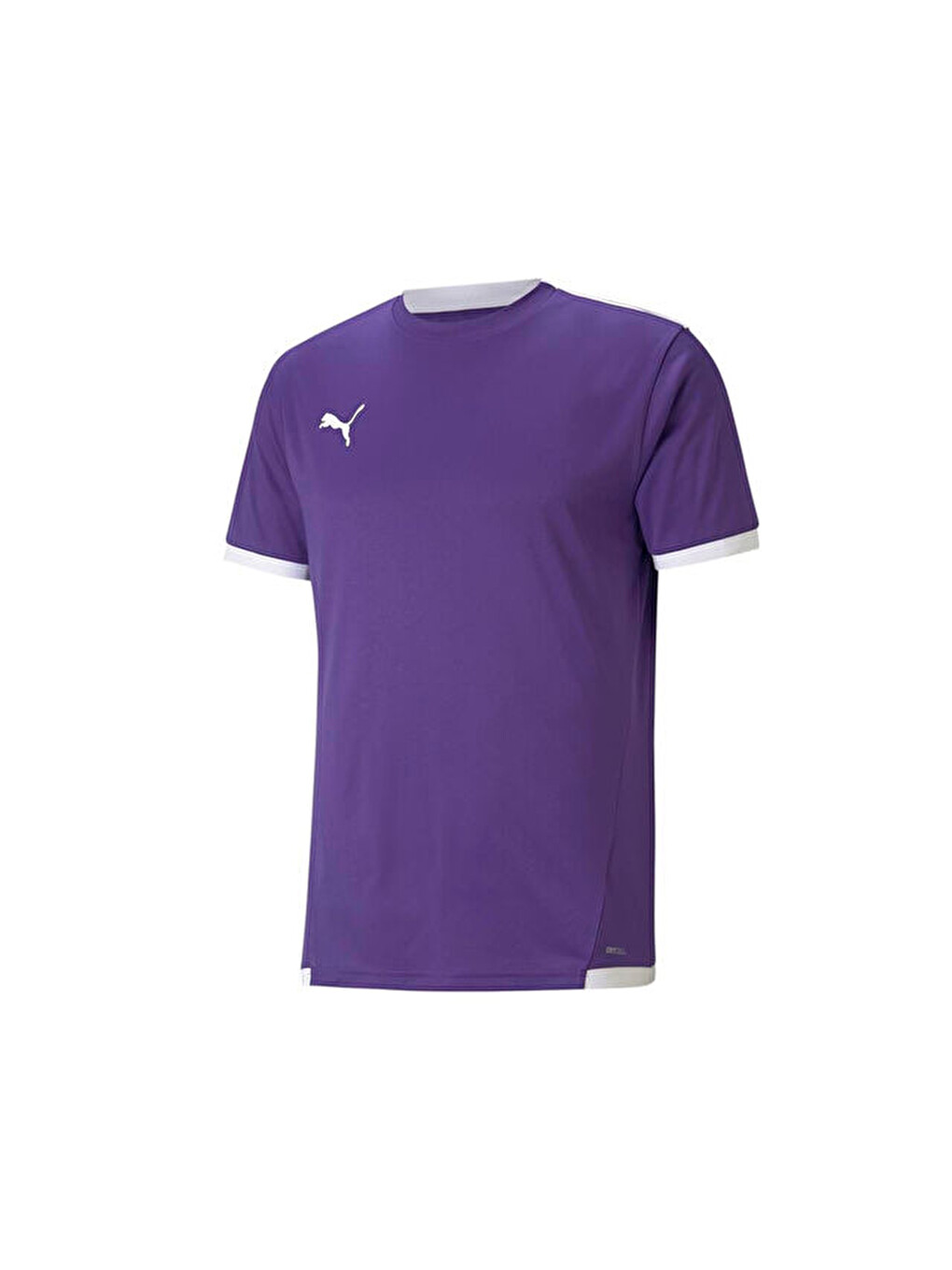 Teamliga Jersey Erkek Futbol Forması 70491710 Mor