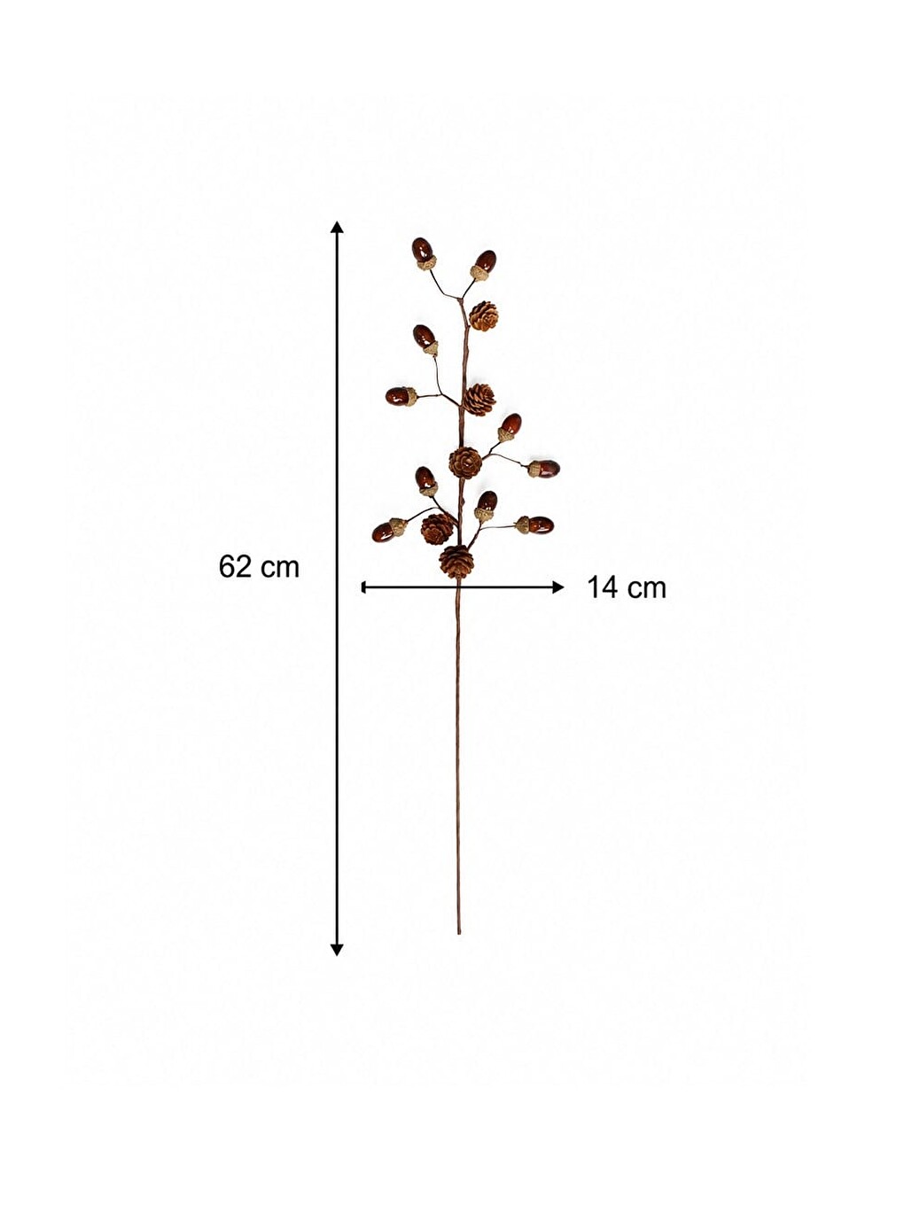 Kahverengi Palamutlu Dekoratif Dal 62 Cm-2