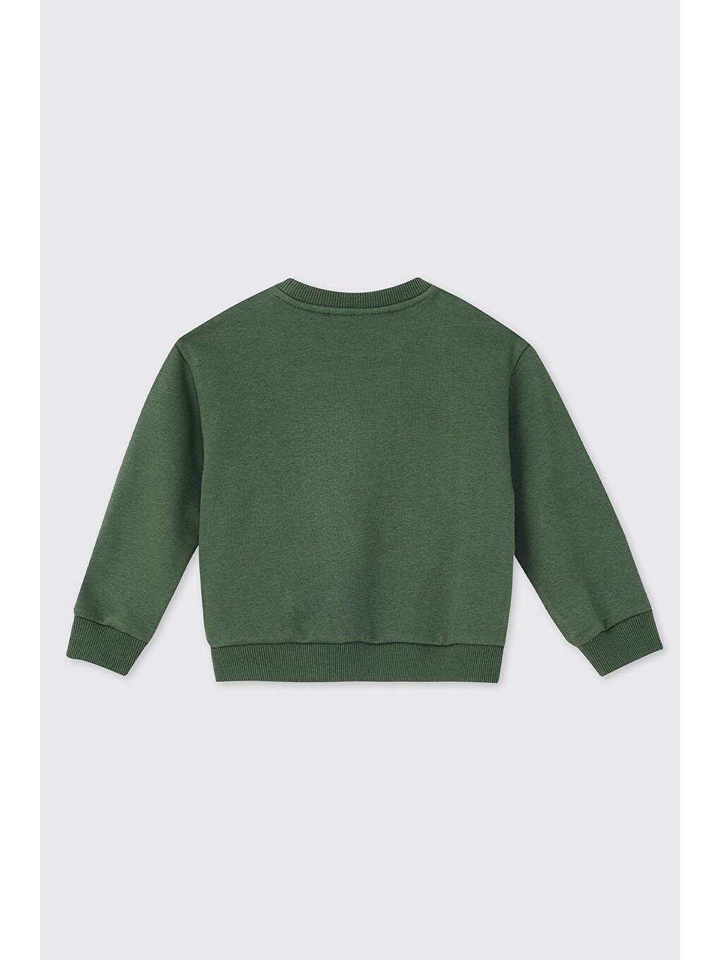 Erkek Bebek Yeşil Sweatshirt-1