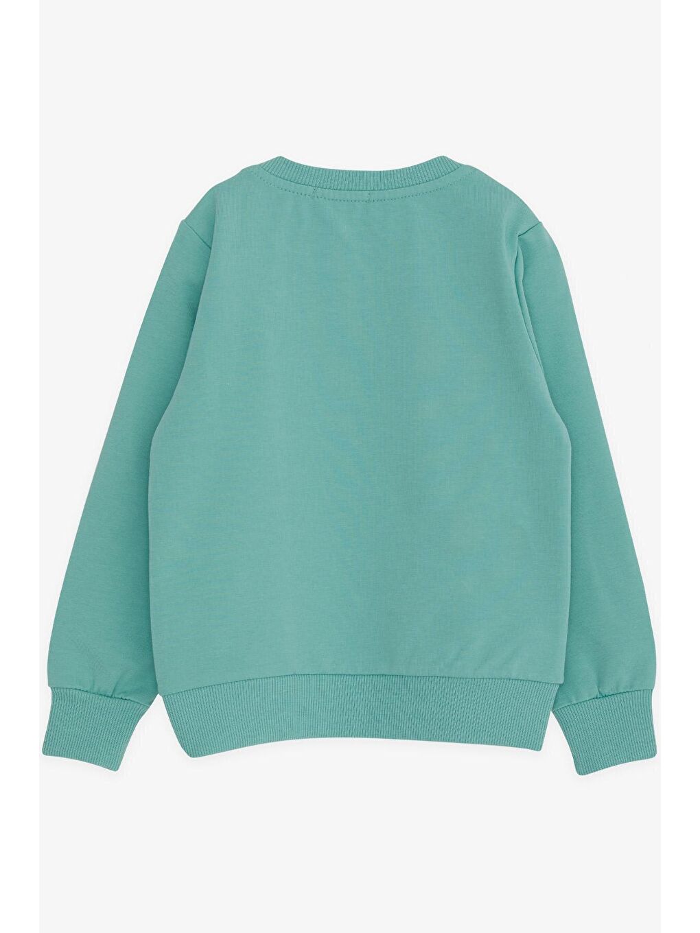 Breeze Açık Su Yeşili Erkek Bebek Sweatshirt Yazı Baskılı Mint Yeşili (2 Yaş) - 1