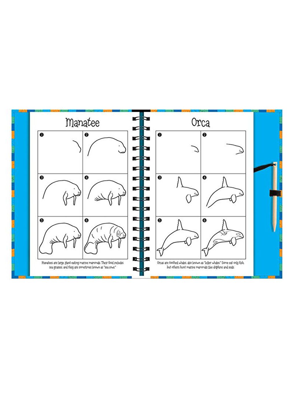 Scratch and Draw - Ocean Animals-1