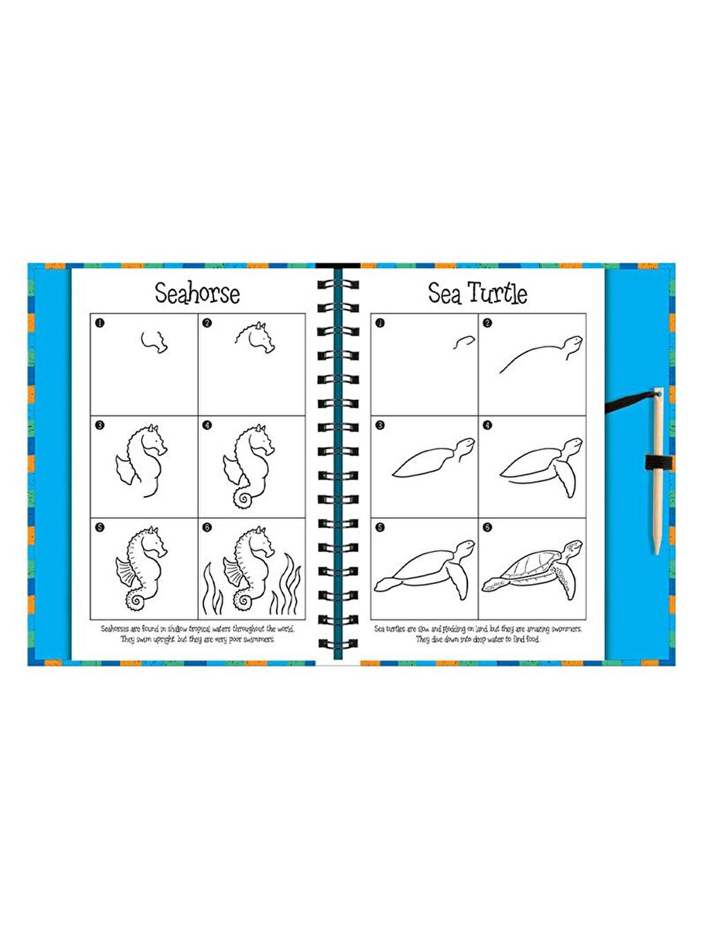 Scratch and Draw - Ocean Animals-3