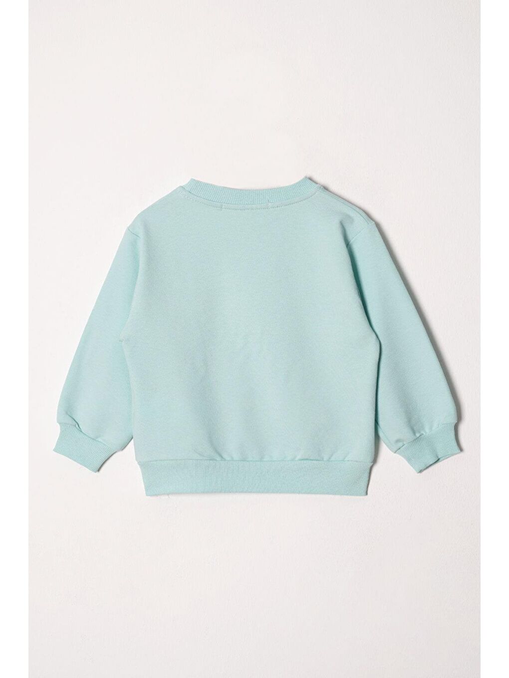 Yeşil Bisiklet Yaka Uzun Kol Papatya Nakışlı Mint Renk Kız Çocuk Eşofman Takım-2