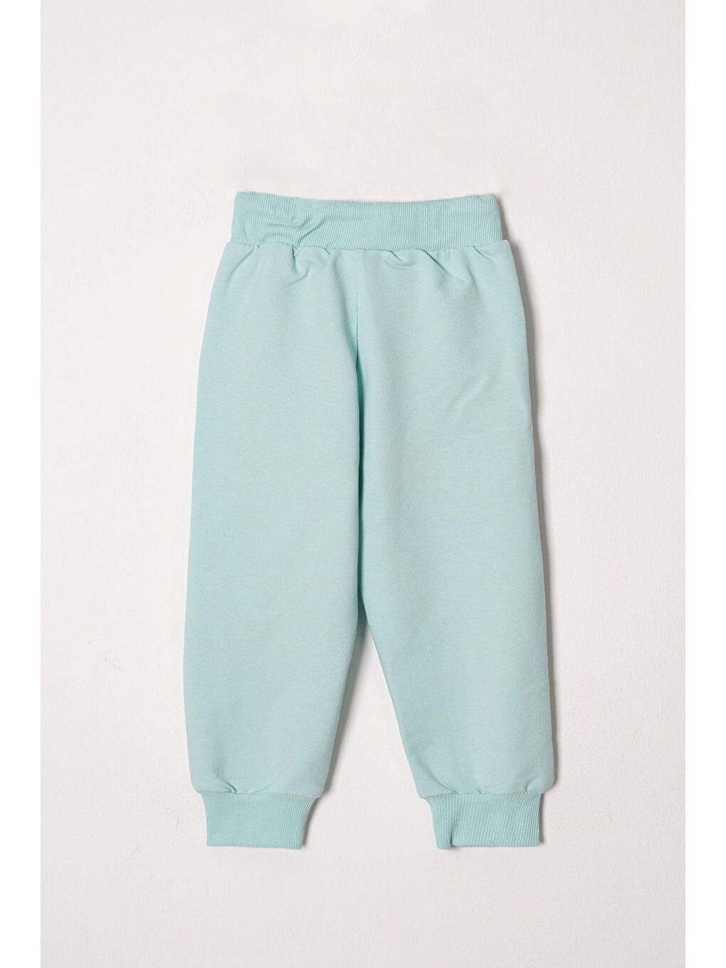 Yeşil Bisiklet Yaka Uzun Kol Papatya Nakışlı Mint Renk Kız Çocuk Eşofman Takım-4