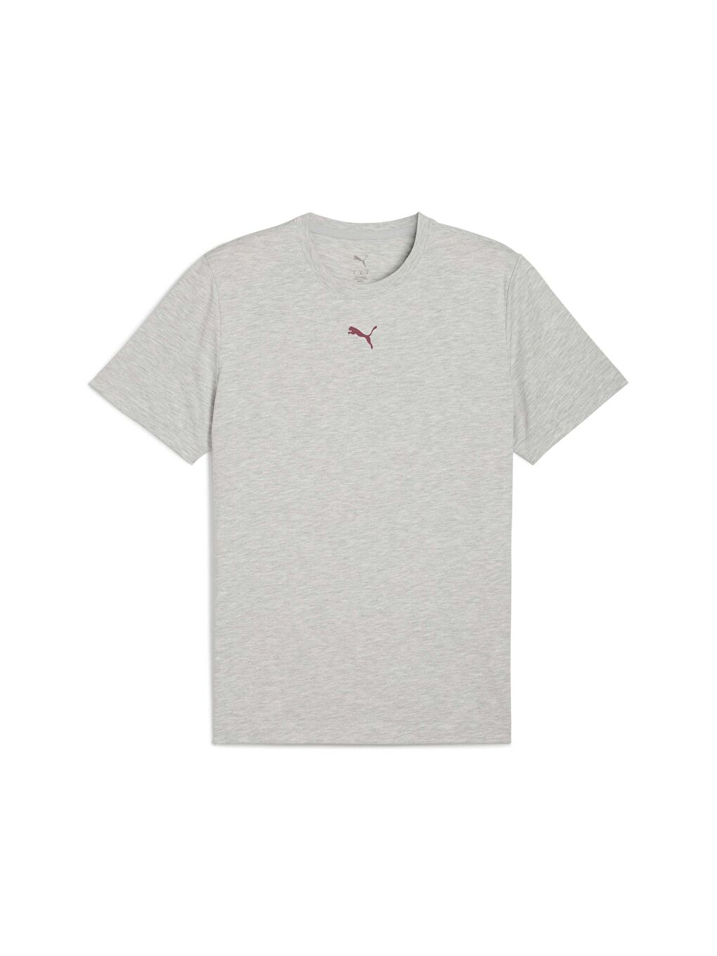 Gri GRAPHIC Erkek Antrenman Tişörtü