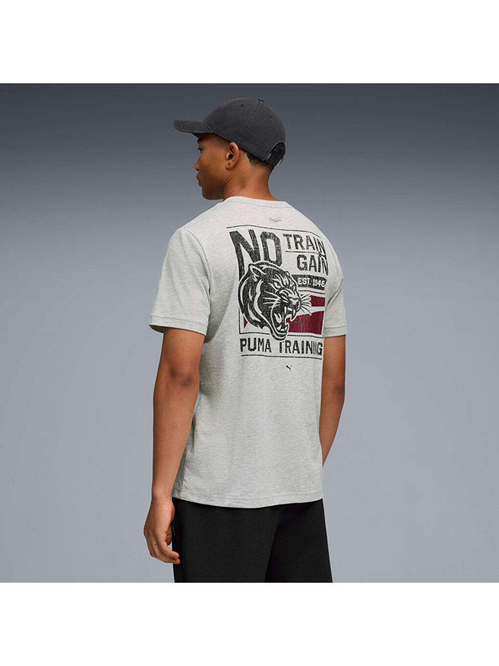 Gri GRAPHIC Erkek Antrenman Tişörtü-2