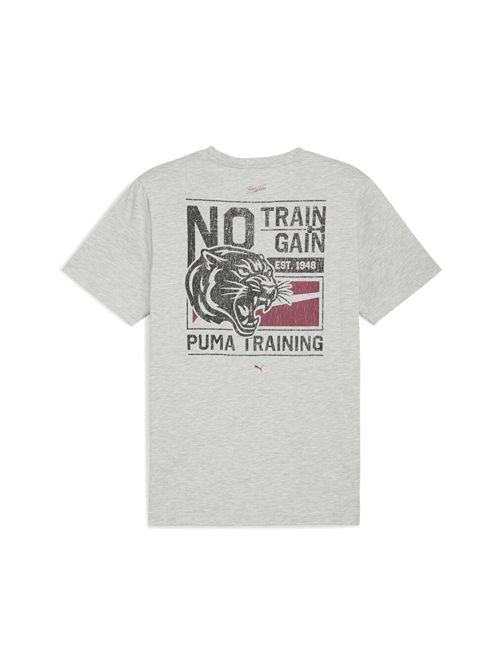 Gri GRAPHIC Erkek Antrenman Tişörtü-3