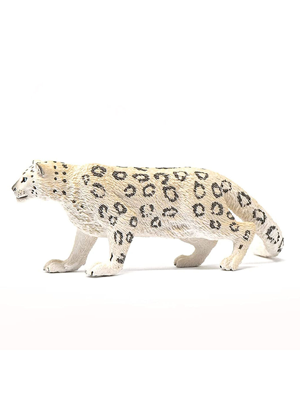 Kar Leoparı 14838-2