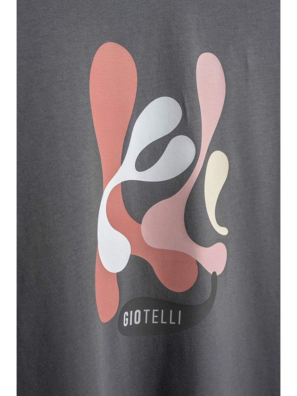 Giotelli Erkek Antrasit Normal Kesim Regular Fit Baskılı Bisiklet Yaka Tişört-1