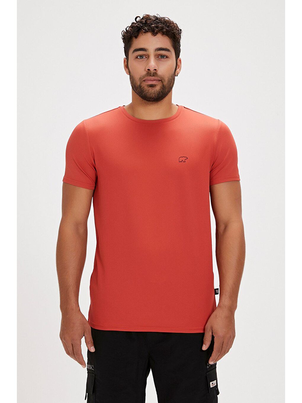 Kahverengi Frank Tarçın Basic Erkek Tişört