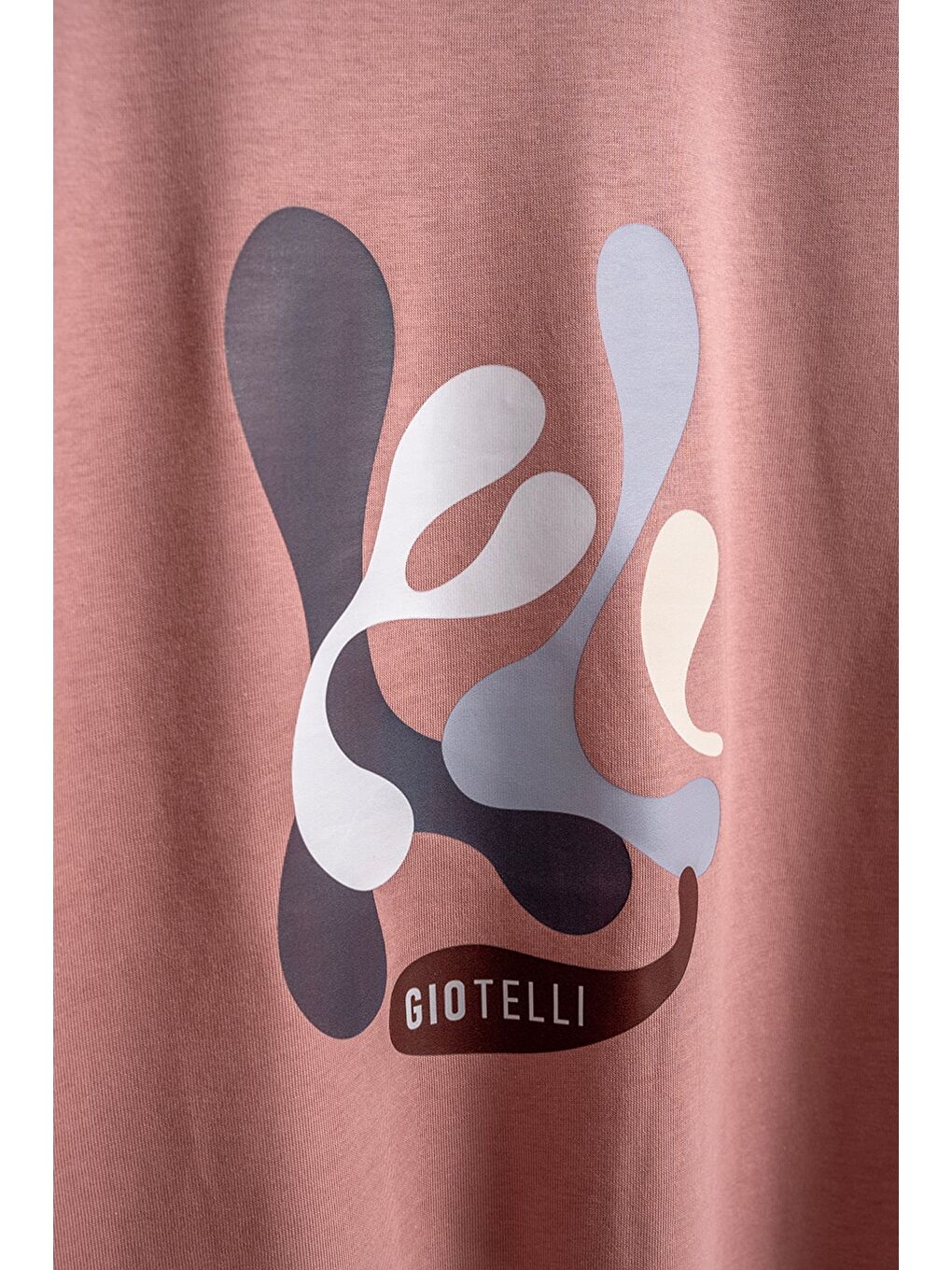 Pembe Giotelli Erkek Gül Kurusu Normal Kesim Regular Fit Baskılı Bisiklet Yaka Tişört-2