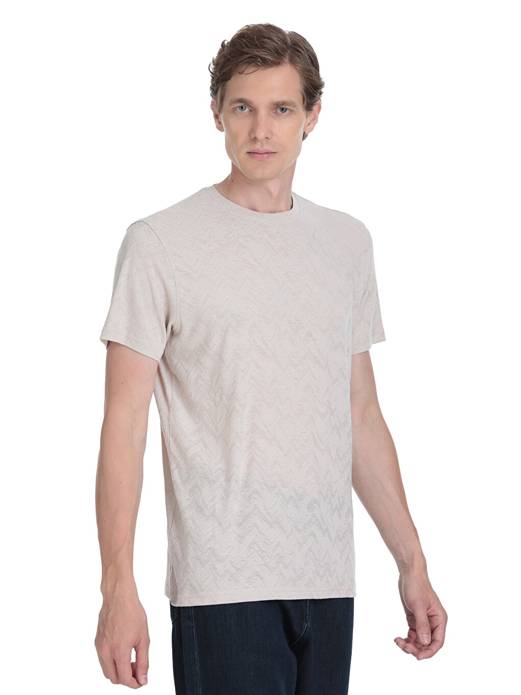 Ekru Regular Fit Bisiklet Yaka Tişört-2