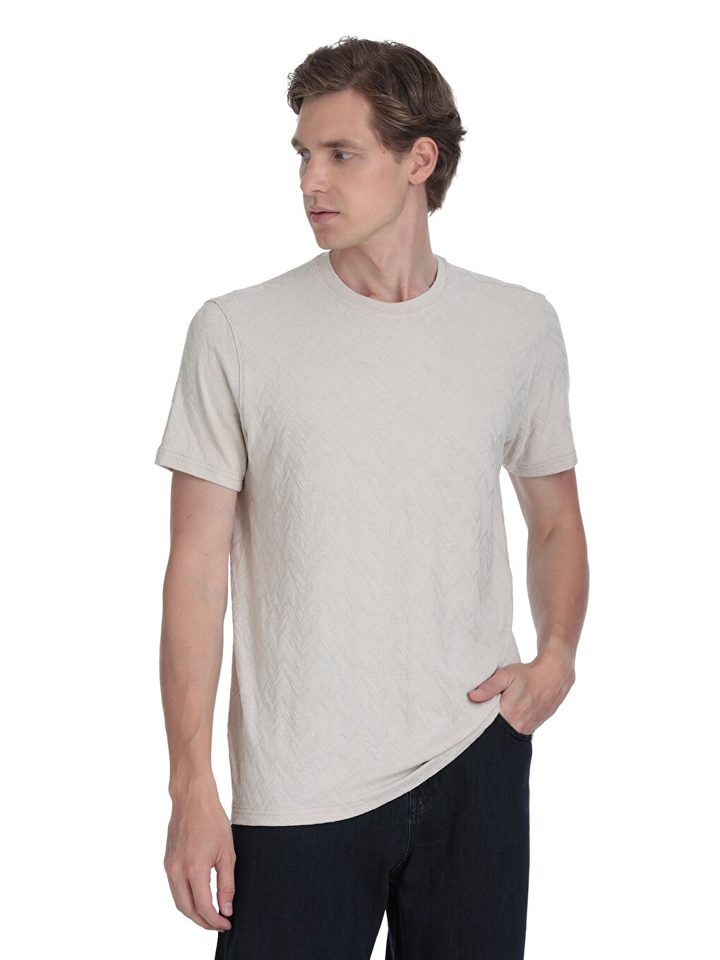 Bej Taş Regular Fit Bisiklet Yaka Tişört-2