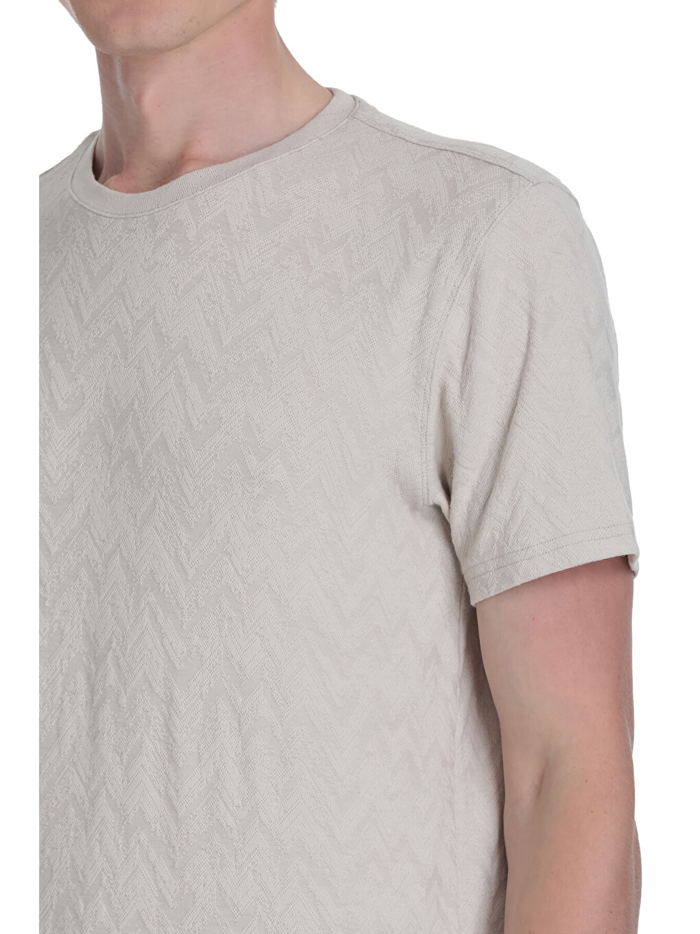 Bej Taş Regular Fit Bisiklet Yaka Tişört-3