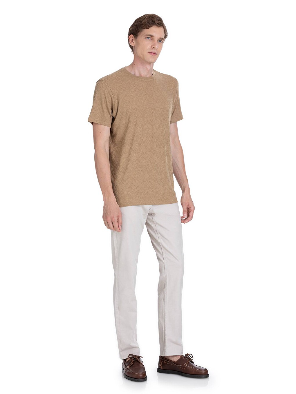 Bej Vizon Regular Fit Bisiklet Yaka Tişört-2