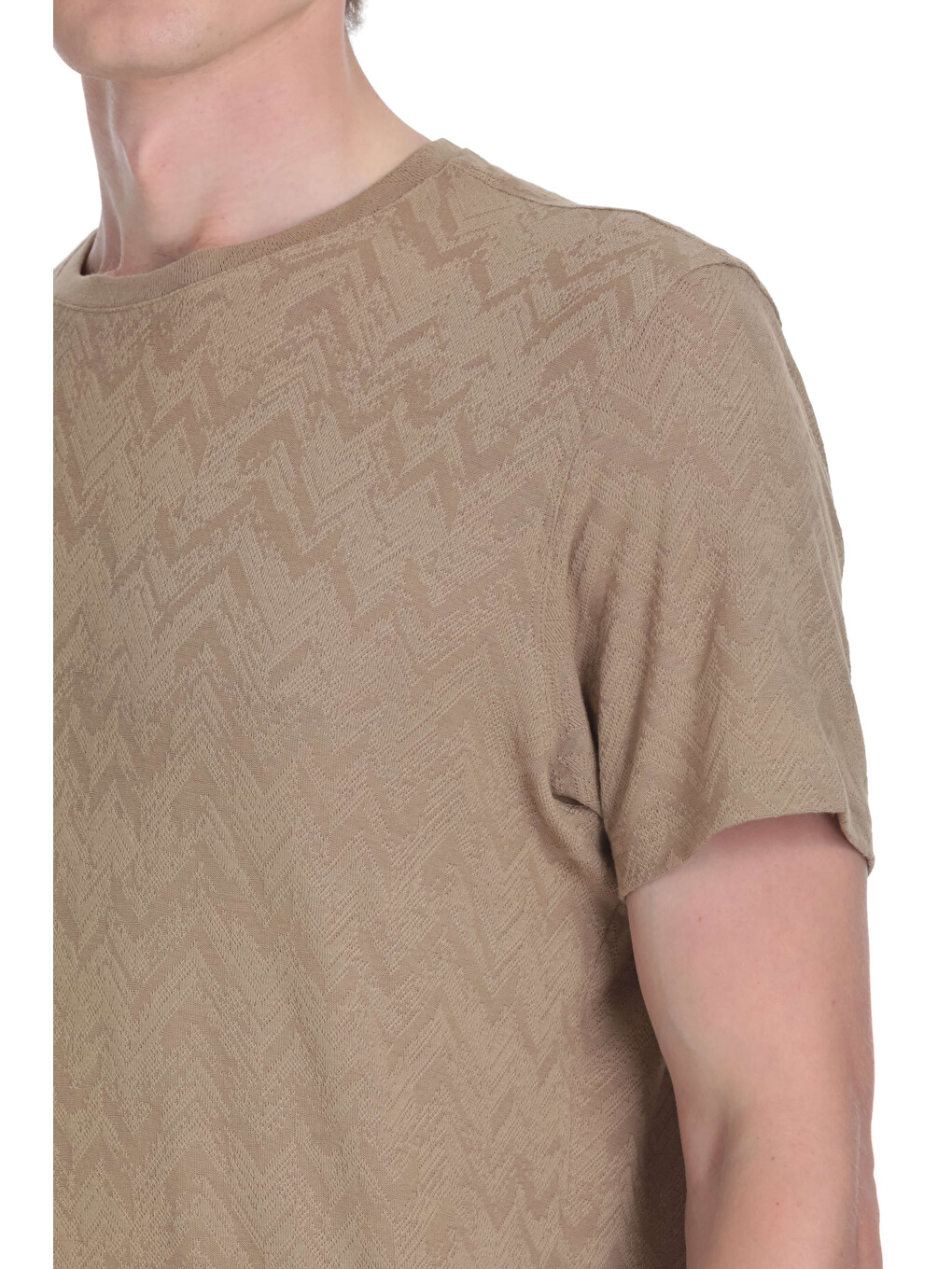 Bej Vizon Regular Fit Bisiklet Yaka Tişört-3