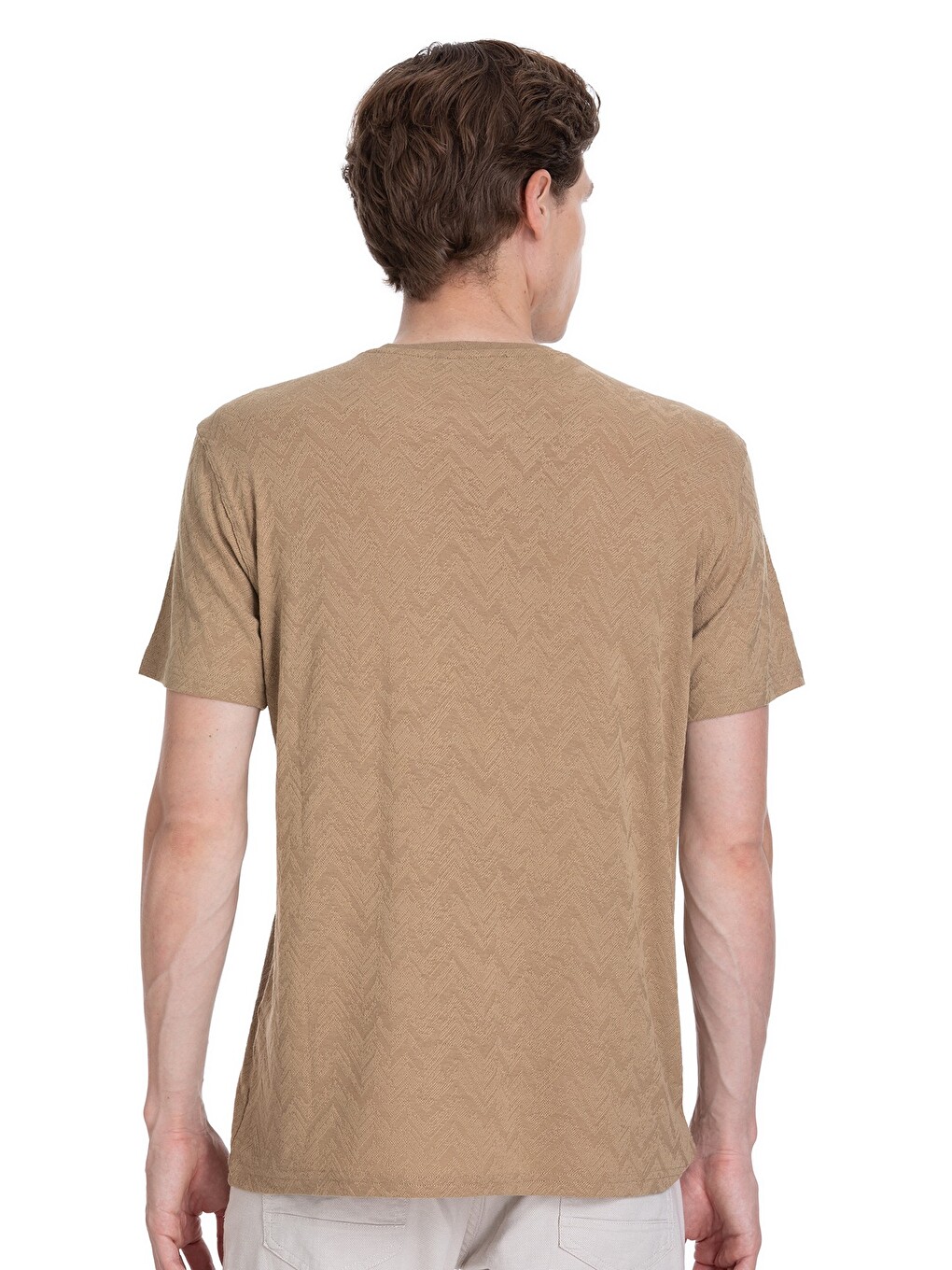 Bej Vizon Regular Fit Bisiklet Yaka Tişört-4