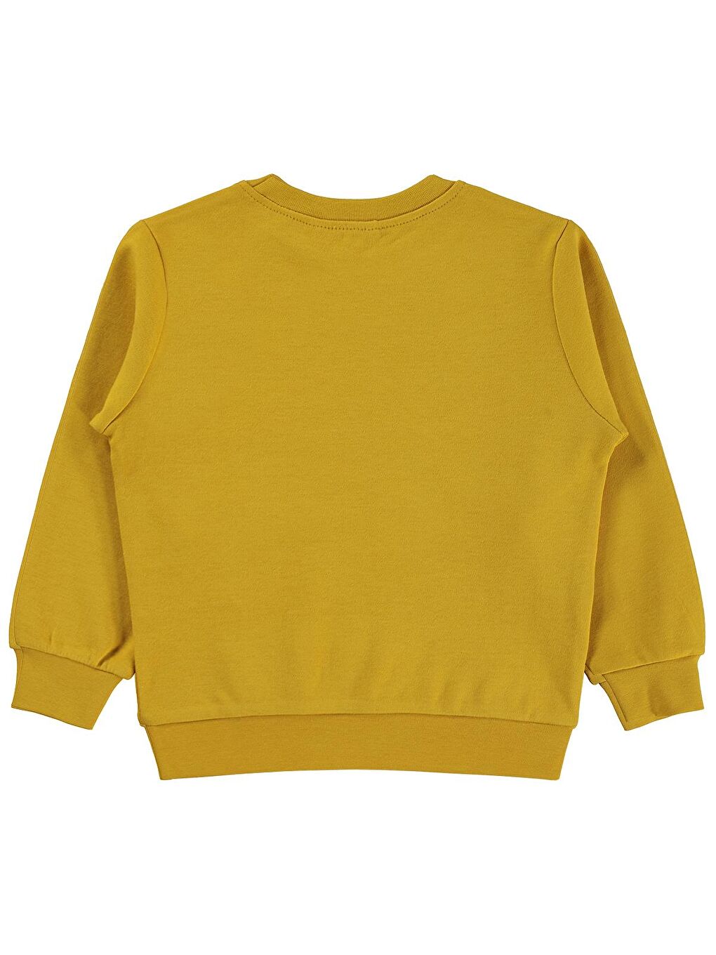 Sarı Boys Tili Rakun Ayı Baskılı 2-5 Yaş Sweatshirt - Hardal-1
