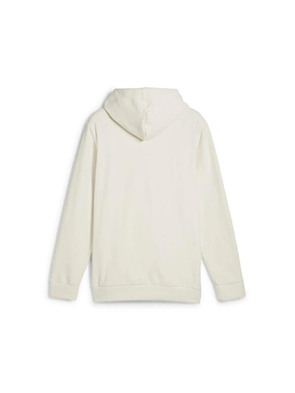 Ess Elevated Hoodie Erkek Günlük Sweatshirts 68189287 Bej-1